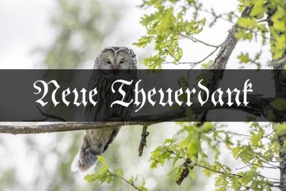 Neue Theuerdank: A Bold Blackletter Typeface for Handmade Brands